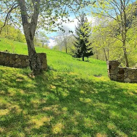 Maison Authentique *